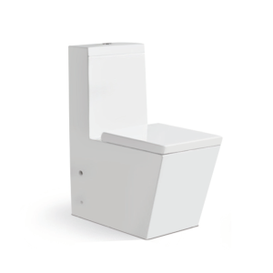 1002A Washdown One-Piece Toilet