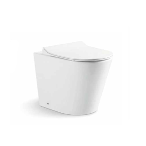 1046FW Tankless Floor-Mounted Toilet