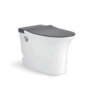 S103N1B / S103D3 Tankless Floor-Mounted Toilet