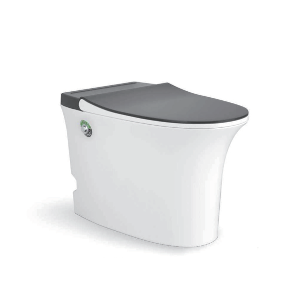 S103N1B / S103D3 Tankless Floor-Mounted Toilet