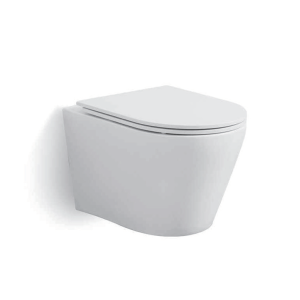WH-030-MW Tankless White Wall-mounted Toilet