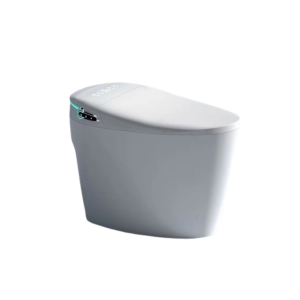 SW8807-C one piece toilet