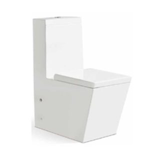 1002A Washdown One-Piece Toilet